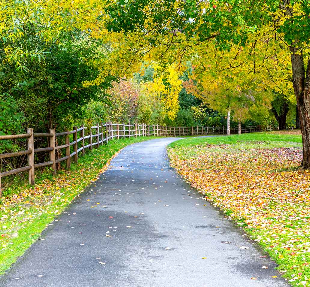 Charming Issaquah Rental Properties